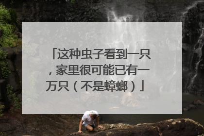 这种虫子看到一只，家里很可能已有一万只（不是蟑螂）